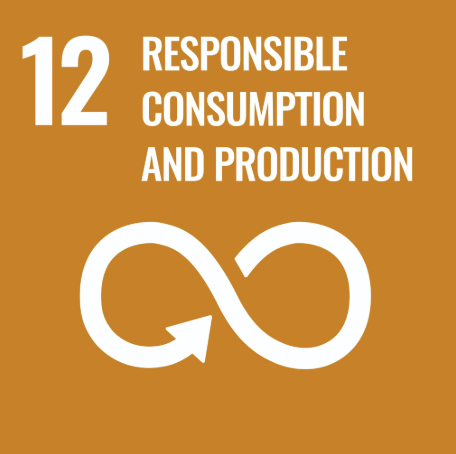 UN Sustainable Development Goal 12: Responsible Consumption and Production