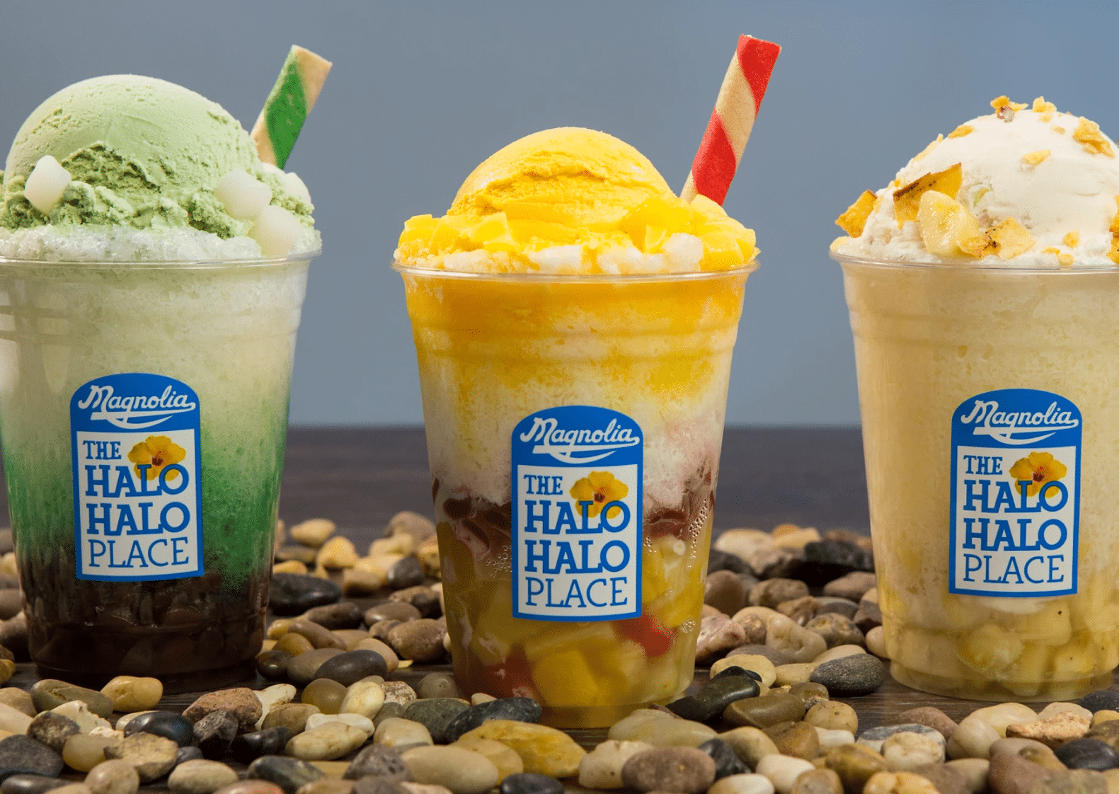 Magnolia-Treats-Header